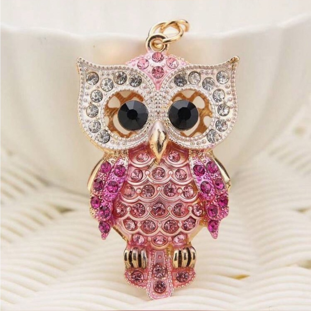 Pink and Gold Owl Key Holder